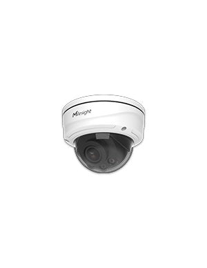 IP Cameras