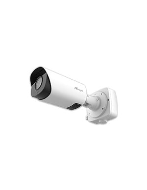 IP Cameras